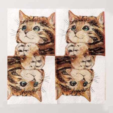 Paper Single -layer “kitten” wipes, set of 100 pieces, 24 × 24 cm-2