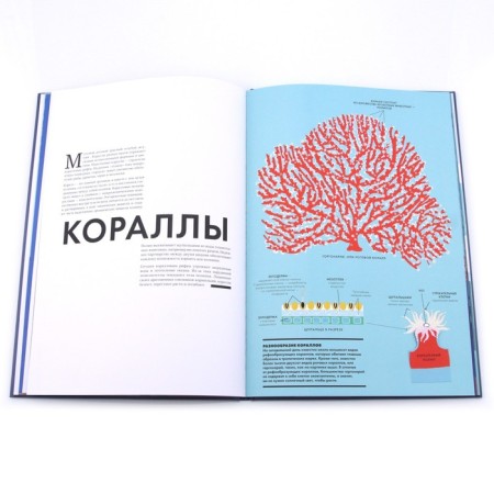 Ocean. Helen Dryuver, Emmanuel Gredmann-4