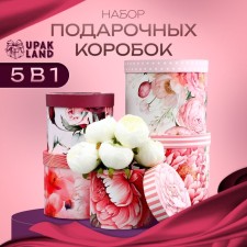 A set of hats for flowers 5 in 1, gift packaging, “bud”, 16 x 14 cm - 22 x 19.5 cm