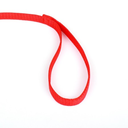 Leash 3 m x 2 cm, red-2