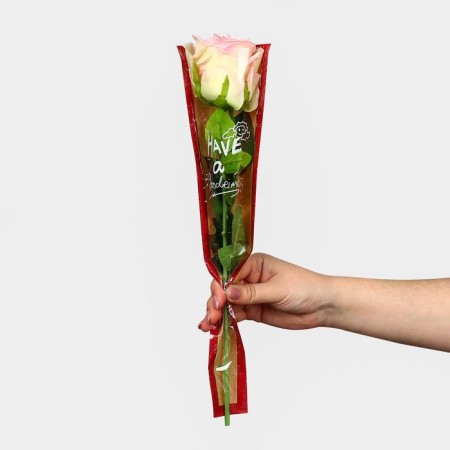 Flower Package "Have a Good Time", 12.5 x 4 x 45 cm-4