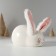 Pig a piggy bank Ceramics "Blood rabbit with soft ears" 8.8x13.2x7 cm