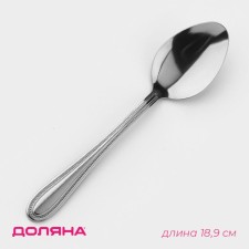 A tablespoon of stainless steel of the “Mojo” share, length 18.9 cm, thickness 1.8 mm
