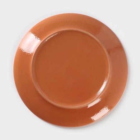 Plate Colorlife, D = 24 cm, h = 2.5 cm, green color-3