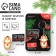 Icon and keychain "with NG, short", set