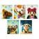 Notebook 48l Lin Learn yourself!, Obla chalk cards, rounded carcass, bl 65g/m2, mix
