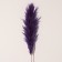 Sukhotzet "Cortery", 1 branch, length 140-150 cm, purple
