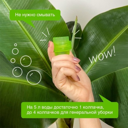 Synergetic washing tool "coniferous freshness", biodegradable, concentrated 750 ml-4