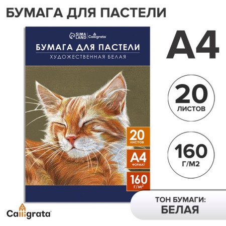 A4 pastel paper, 20 sheets "cat", block 160 g/m2, in folder