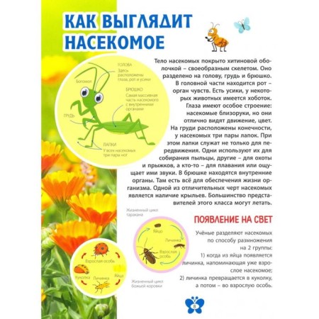 В мире насекомых ред. Ю. Феданова, Т. Скиба, Т. Машир-1