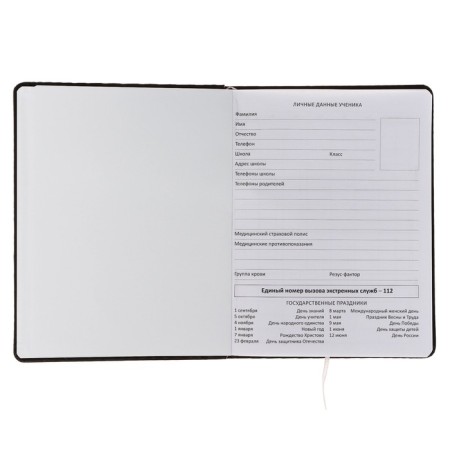 Universal diary for Tokyo grade 1-11, hard cover, artificial leather, silk-screen printing, Lyasse, 80 g/m2-3