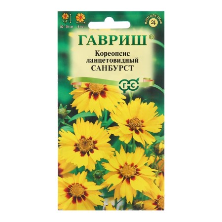 Coreopsis "Sanburst", 0.1 g-4