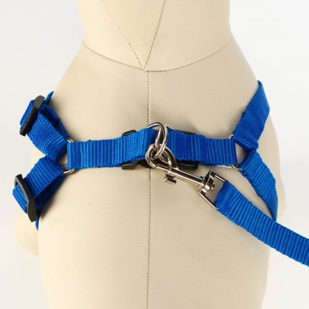 Set "Basis", leash 120 x 1.5 cm, OG 32-46 cm, blue-1