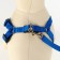 Set "Basis", leash 120 x 1.5 cm, OG 32-46 cm, blue
