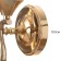 Bra "AMMA" E27 40W gold