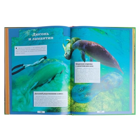 Animals of our planet. Koshevar D.V., Papunidi E.A.-4