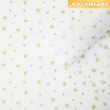 Paper Packaging “Stars, Gold”, 50 x 70 cm