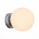 Wall lamp EVOLUCE. SL717.501.01. Acini. 1x40 W, E27, 18x18x22 cm, silver color