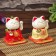 Plastic pendulum "Cat Bayun with a quarry hieroglyphs, determination, longevity" MIX 9.5x9.5x8.3 cm