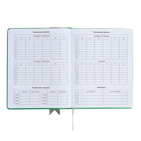 Universal diary for grades 1-11 Lenta, solid cover of artificial leather, applique, silkography, liesse, 48 sheets, green-5