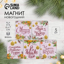 Магнит винил "Шарики" 6х7 см МИКС 5 видов