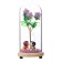 Nightlight "first date" LED from batteries 3xlr44 10x10x21 cm Risalux