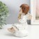 Polystone souvenir "Angel in a dress with patterns, holds a month/star" MIX 9.5x9.5x15 cm