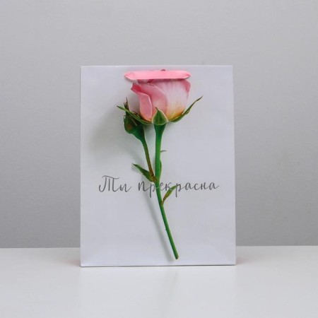 Gift laminated vertical package, packaging, “you are beautiful”, l 31 x 40 x 11.5 cm-1
