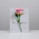 Gift laminated vertical package, packaging, “you are beautiful”, l 31 x 40 x 11.5 cm