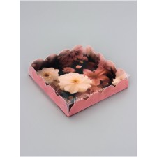 Cookie box, confectionery packaging, 