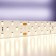 LED tape Maytoni, 24V, IP20, 2835, 27W/m, 3000k, 5 m, monochrome glow