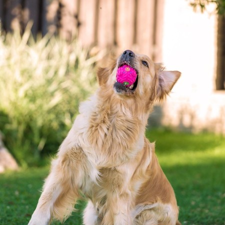 Crooking ball for dogs, hard, 7.5 cm, pink-6
