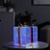 LED figure "Gift" 20 × 20 × 20 cm, plastic, 220 V, glow of white