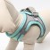 A set with a soft harness, fast-open, m, leash 150 x 1.5 cm, Osh 38-44 cm, og 44-50 cm, turquoise