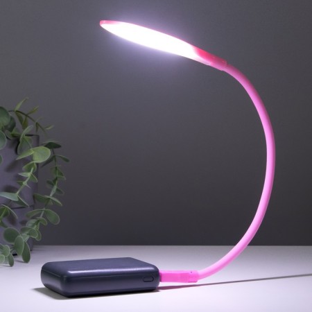 Lamp 16235/1 14xLLD 1.5W pink 3x42 cm Risalux-2