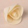 A set of colors for the decor "rose", from foamiran, d = 2 cm, 10 pcs, beige