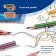 Caucal pencils 12 colors, bic "Kids Evolution Stripes", plastic, children's