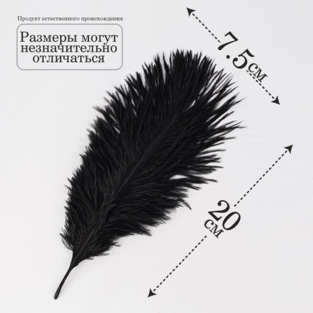 Feather for decor, size 20.5 × 7.5 cm, black color-1