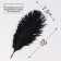 Feather for decor, size 20.5 × 7.5 cm, black color