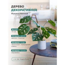Decorative plant in a ceramic pot of Monster, 12 × 12 × 70 cm