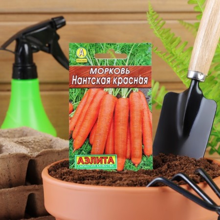 Seeds of carrots "Nantic red" "Leader", 2 g,-3