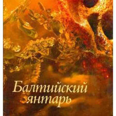 Baltic amber. Suvorova T.