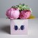 Box for flowers with the topper "Cat", 11 x 12 x 10 cm