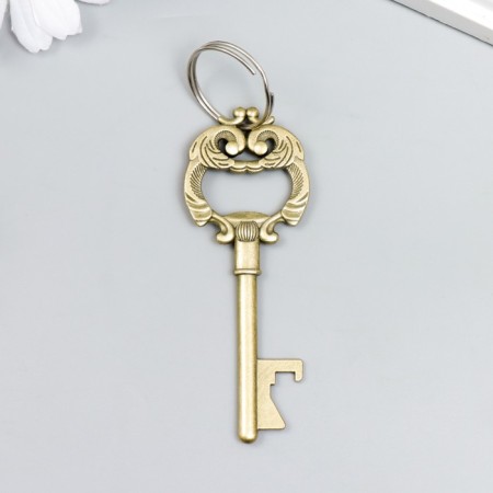 Metal keychain "Key with lush leaves" mix 8x3 cm-2