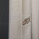 Set of curtains "Mika", size 145 x 270 cm - 2 pcs, beige