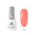 No. 043 Sugar coral