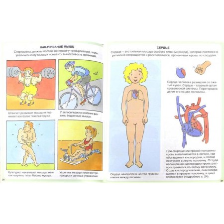 Encyclopedia. The human body-2