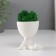 Kashpo concrete mini "Mr. Green on Chile" with moss white 6.5x6x6.5 cm (moss green stabilis)