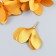 Decor for creativity Textile "Bun, mustard color" set 6 pcs 6 cm