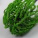 Artificial plant for creativity plastic "Boys -out Iva" 12 cm